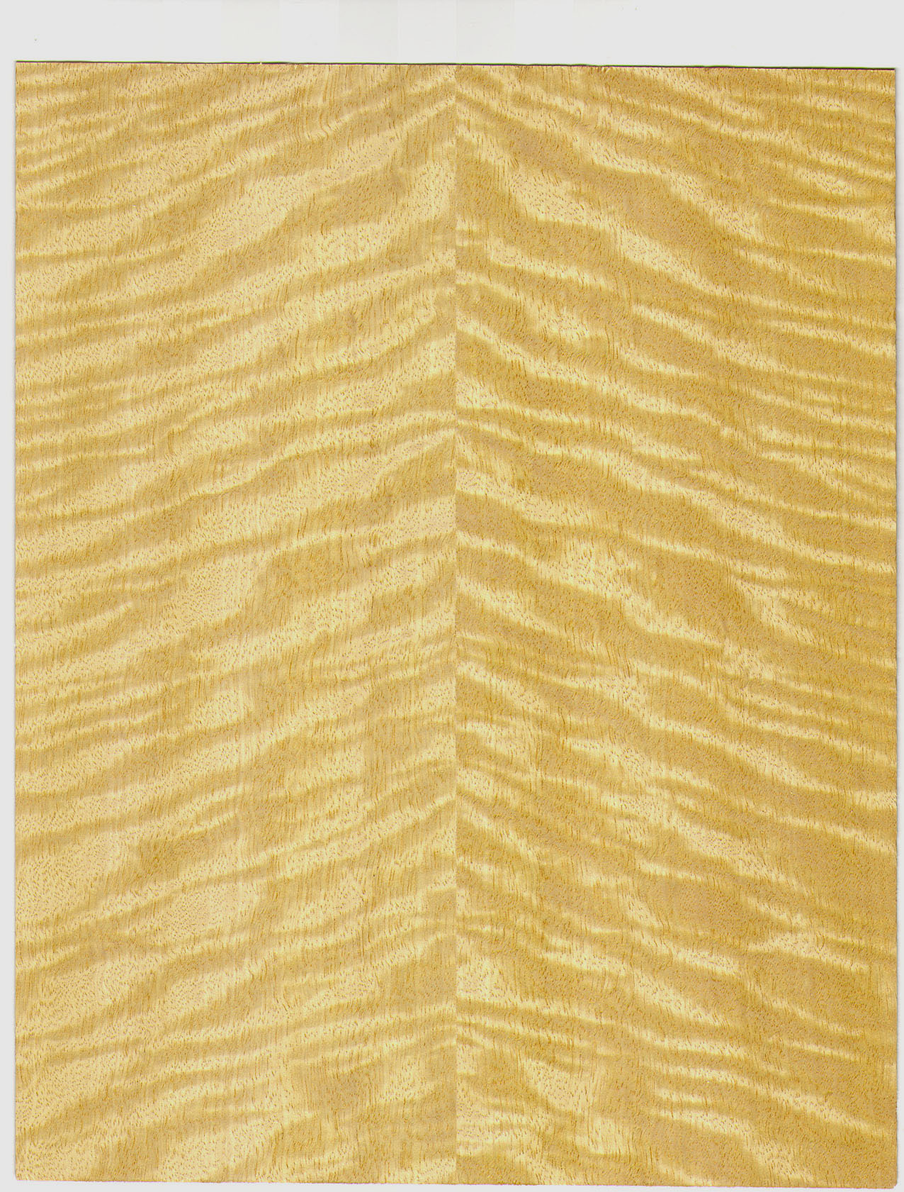 Дерево текстура, ламинат, скачать фото фон, wood background texture image